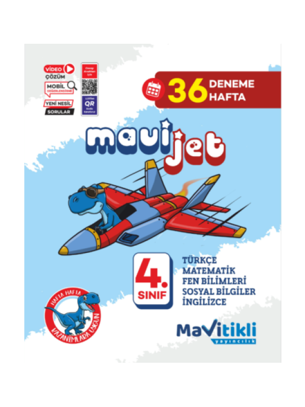 4.SINIF MAVİJET