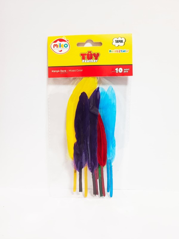 Tüy Renkli 10 Adet